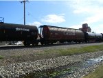 CN 109867 is new to RRPA!